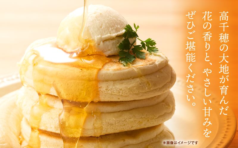 【選べる内容量】日本みつばち 高千穂の純粋蜂蜜|蜂蜜 はちみつ 日本みつばち 純粋蜂蜜 国産蜂蜜 天然蜂蜜 垂れ蜜 蜜蜂 希少 蜂蜜 濃厚 花 伝統製法 特産品 ふるさと納税 返礼品 宮崎県 高千穂町 | _Tk005-099-SKU