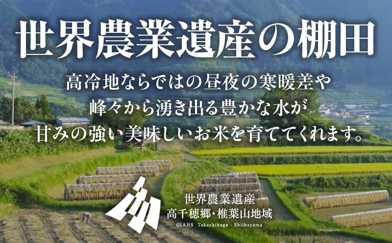 【令和7年産】JA高千穂地区 ひのひかり5kg | 高千穂産 ひのひかり  5kg 1袋 米 お米 白米 ごはん 白飯 精米 ひのひかり 国産 宮崎県産  単一原料米 農作物 農産物 おすそ分け 普段使い 日常 炭水化物 主食 贈答 贈り物 ギフト プレゼント おすすめ 宮崎県 高千穂町 |_Tk004-069