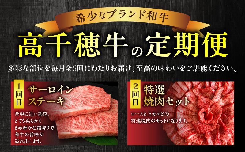 宮崎県産黒毛和牛A4等級以上 高千穂牛フルコース（6ヶ月定期便） 宮崎県産 黒毛和牛 A4等級以上 高千穂牛 フルコース (6ヶ月定期便) 牛肉 肉 お肉 精肉 定期便 サーロイン 焼肉 ロース カルビ こま肉 モモ ハンバーグ しゃぶしゃぶ すき焼き すきしゃぶ 薄切り スライス 国産 セット 詰め合わせ 高千穂町 _Tk002-t054