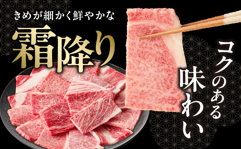 【3か月定期便】宮崎牛 肩ロース焼肉500g×3回 計1.5kg_Tk031-t025