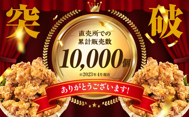 【3か月定期便】レンジでプロ味！からあげ3か月定期便  鶏肉 肉 鶏モモ肉 肉惣菜 惣菜 お惣菜 調理済み 冷凍 個包装 使い勝手 普段使い お弁当 おかず 冷凍食品 冷凍からあげ 食品 小分け 便利 レンジ グルメ おすそ分け 簡単調理 宮崎 高千穂 _Tk005-t043