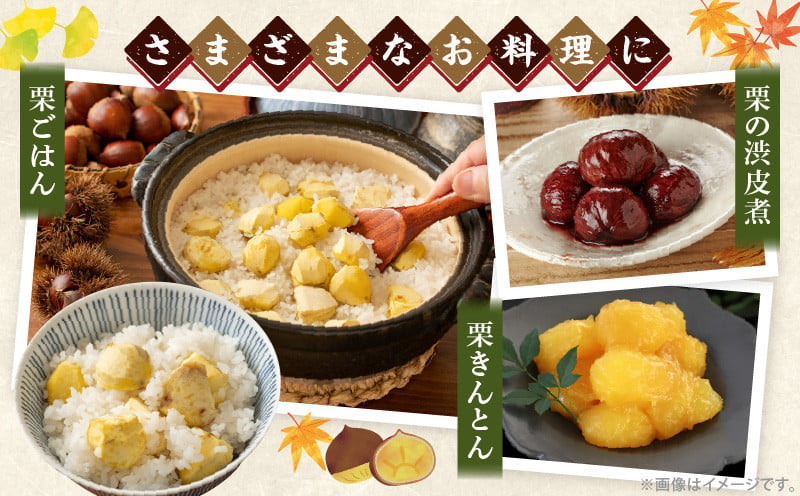 高千穂・ひのかげくり（9月限定）ひのかげ栗 栗 くり 栗きんとん 生栗 和菓子 栗ご飯 和菓子 モンブラン 世界農業遺産 宮崎県 高千穂町  _Tk004-068