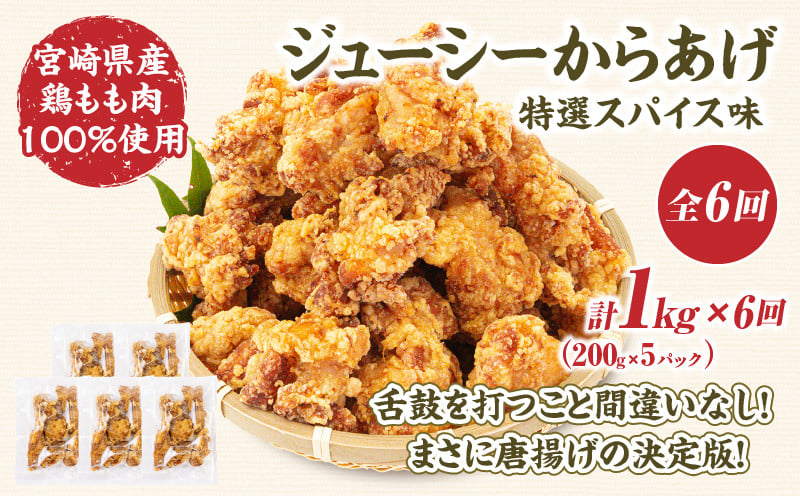 【6か月定期便】レンジでプロ味！からあげ6か月定期便 鶏肉 肉 鶏モモ肉 肉惣菜 惣菜 お惣菜 調理済み 冷凍 個包装 使い勝手 普段使い お弁当 おかず 冷凍食品 冷凍からあげ 食品 小分け 便利 レンジ グルメ おすそ分け 簡単調理 宮崎 高千穂 _Tk005-t044