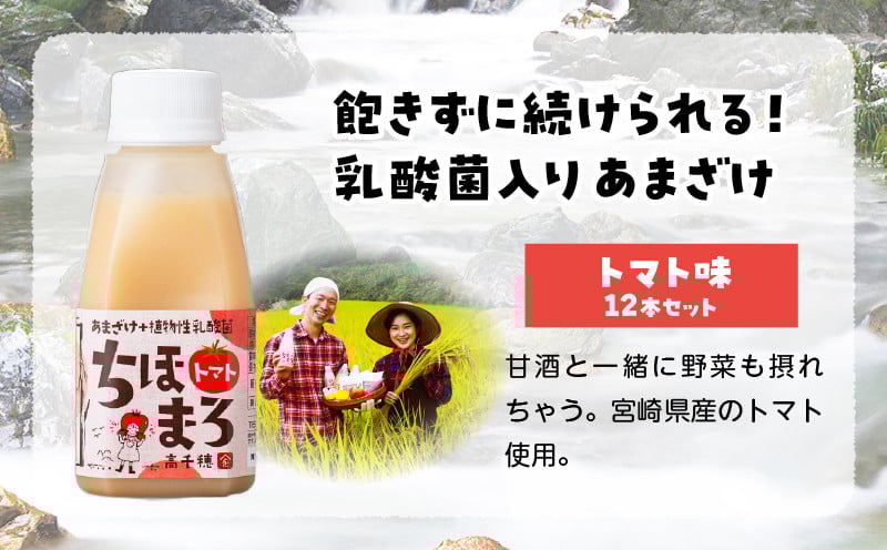 乳酸菌入りあまざけ ちほまろ 150g　12本セット【トマトのみ】 ふるさと納税 ノンアルコール 贈答 贈り物 おすそ分け 日課 ドリンク 飲み物 乳酸飲料 飲料 宮崎県 高千穂町 _Tk015-017-i12