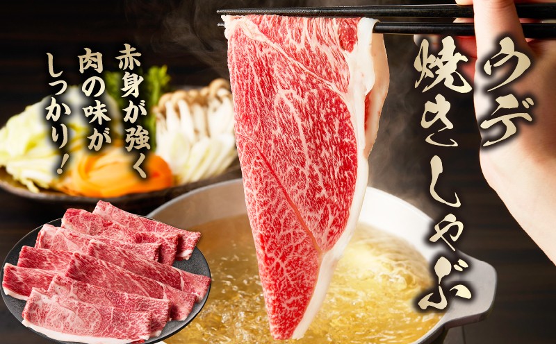 【3ヶ月定期便】 宮崎牛霜降り焼肉・赤身スライス焼きしゃぶ3ヶ月定期便_Tk031-t018