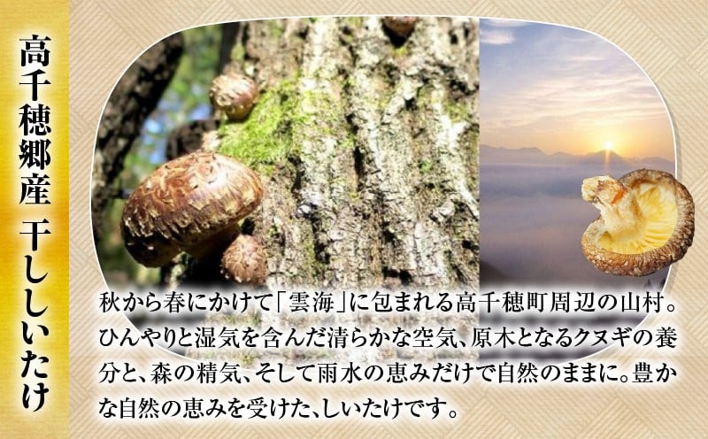 【3ヶ月定期便】 乾燥しいたけ 240g（40g×6袋）×3回 720g_Tk004-t042