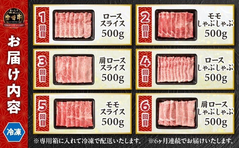 【6か月定期便】宮崎牛バラエティ定期便_Tk031-t023