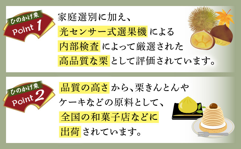 高千穂・ひのかげくり（9月限定）ひのかげ栗 栗 くり 栗きんとん 生栗 和菓子 栗ご飯 和菓子 モンブラン 世界農業遺産 宮崎県 高千穂町  _Tk004-068