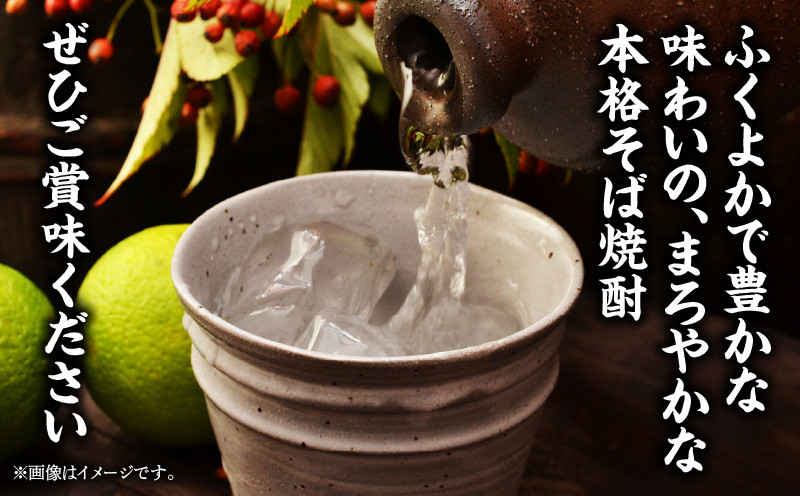  本格そば焼酎 刈干（かりぼし）900ml／2本セット_Tk023-029