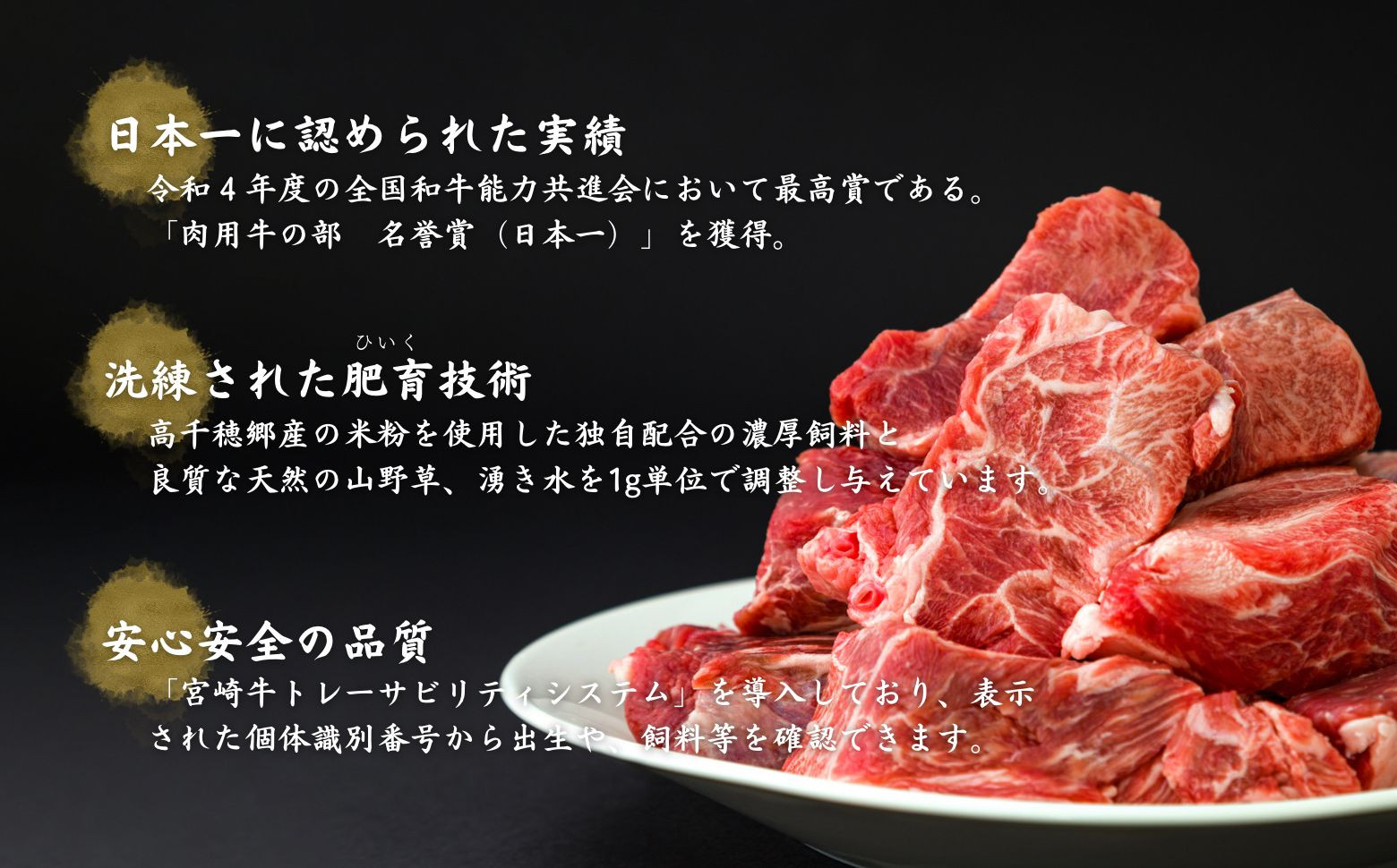 【12ヶ月定期便】 高千穂牛 すね肉 400g×2パック×12回_Tk002-t078
