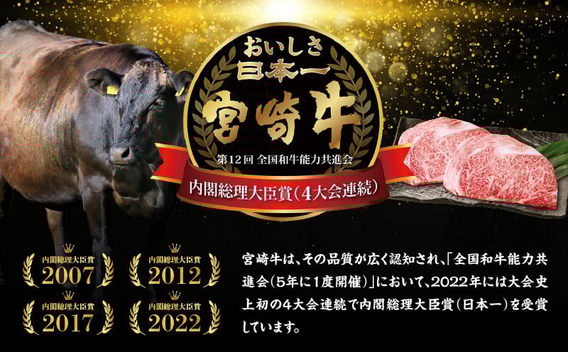 宮崎牛霜降り（ロース）ステーキ250g×2枚 計500g_Tk031-013