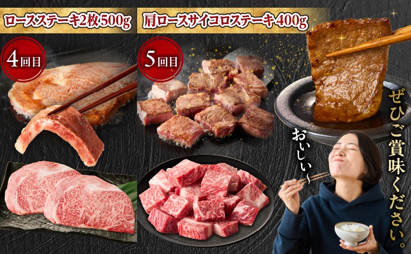 【5か月定期便】宮崎牛焼肉定期便| 宮崎牛 牛肉 お肉 国産牛 ブランド牛 和牛 焼肉 スライス ステーキ サイコロステーキ ウデ焼肉 モモ焼肉 定期便 霜降り 贈答用 贈答 贈り物 プレゼント 記念日 誕生日 内祝い グルメ BBQ 焼き肉 アウトドア ミヤチク お祝い ホームパーティー おもてなし |_Tk031-t029
