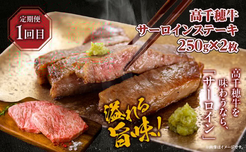 【3か月定期便】 高千穂牛ステーキ定期便 ふるさと納税 牛肉 肉 お肉 サーロイン ステーキ 赤身 定期便 定期 国産牛 ブランド牛 和牛 ハンバーグ 国産 贈答 贈り物 簡単調理 おかず 普段使い 宮崎県 高千穂 _Tk002-t083