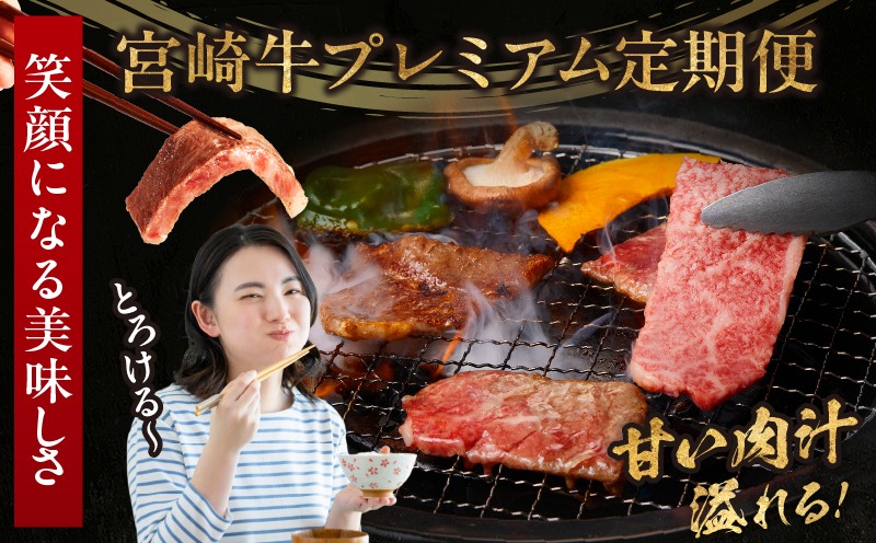 【6か月定期便】宮崎牛プレミアム定期便_Tk031-t020