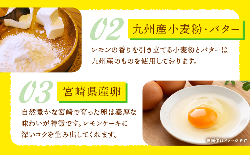 訳あり「宮崎レモンケーキ」 10個入りサイズ不揃い 欠けあり_Tk022-015