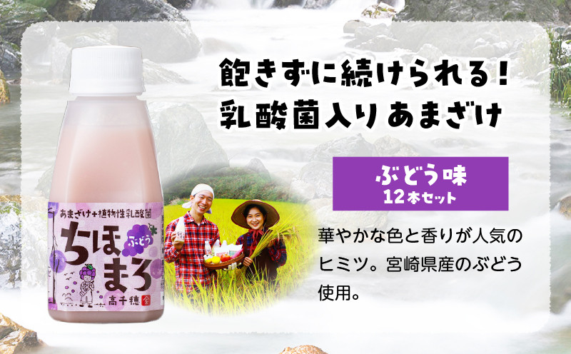 乳酸菌入りあまざけ ちほまろ 150g　12本セット【ぶどうのみ】ふるさと納税 ノンアルコール 贈答 贈り物 おすそ分け 日課 ドリンク 飲み物 乳酸飲料 飲料 宮崎県 高千穂町 _Tk015-017-g12