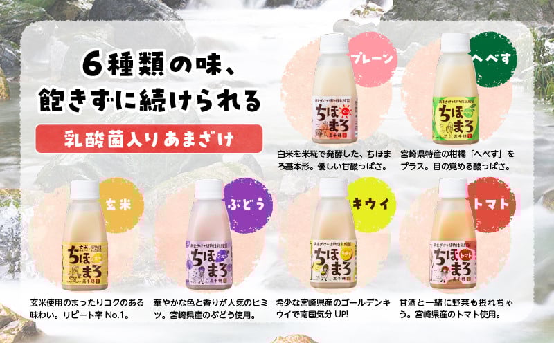 乳酸菌入りあまざけ ちほまろ 150g　12本セット【プレーン へべす 玄米 キウイ トマト ブドウ】ふるさと納税 ノンアルコール 贈答 贈り物 おすそ分け 日課 ドリンク 飲み物 乳酸飲料 飲料 宮崎県 高千穂町  _Tk015-017-a12