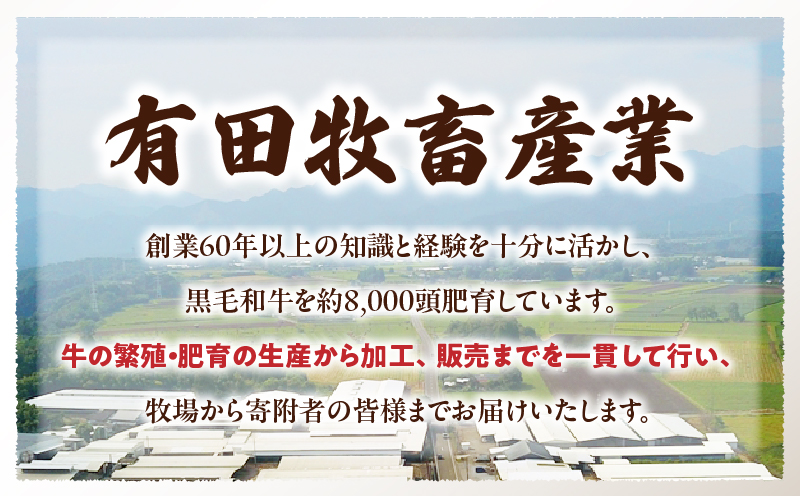 和牛おまかせ万能切落し700g 黒毛和牛 和牛 国産牛 牛肉 切り落とし 切落し 切り落し 霜降り 霜降り肉 赤身 混在 おまかせ肉 万能肉 家庭用 大容量 700g 小分け 350g 冷凍 有田牧場 エモ―牛 生産者直送 ブランド牛 受賞牛 品評会受賞 ワールドステーキチャレンジ 生産者部門 最優秀賞 宮崎県 高千穂町 ふるさと納税 返礼品_Tk055-001