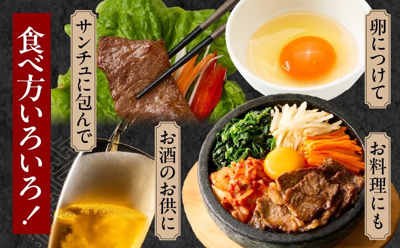 宮崎牛赤身（モモ）焼肉500g_Tk031-016y