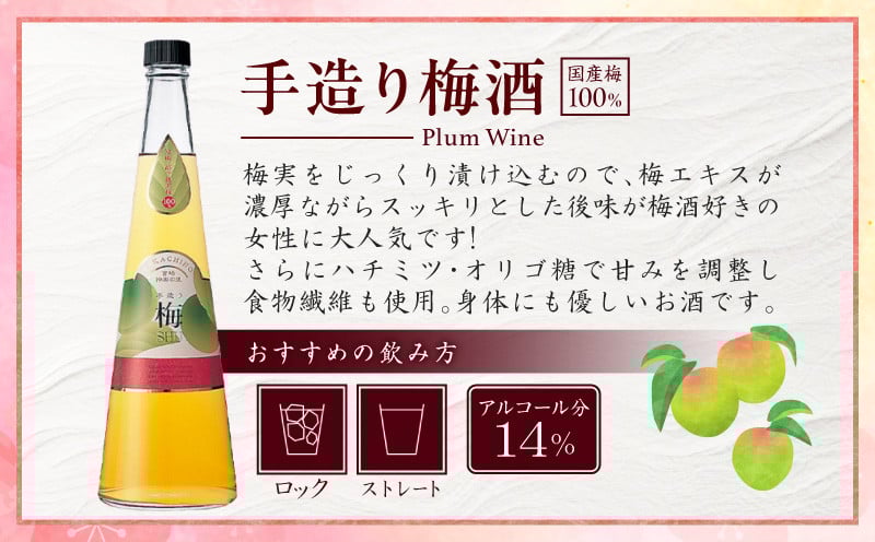 手造り梅酒 14% 720ml×2本セット ふるさと納税 梅酒 酒 アルコール 梅酒セット セット 詰め合わせ ロック ストレート 贈答 贈答用 ギフト プレゼント お祝い 祝い 内祝い 記念日 誕生日 お取り寄せ グルメ 家飲み 宅飲み 飲み会 国産 宮崎県 高千穂町 _Tk007-028