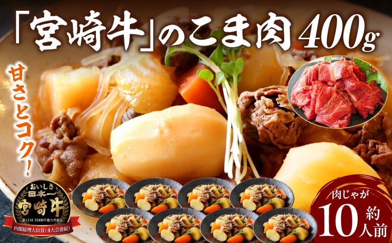 宮崎牛 こま肉・ミンチセット1kg_Tk024-019