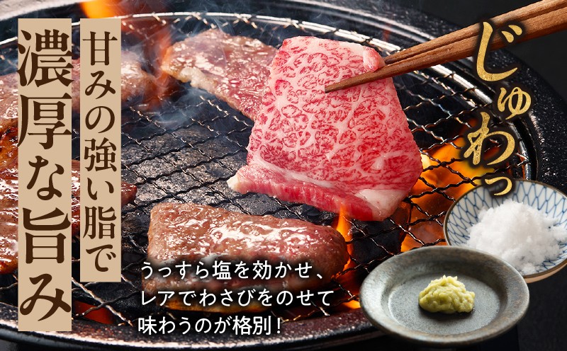 【5か月定期便】宮崎牛焼肉定期便| 宮崎牛 牛肉 お肉 国産牛 ブランド牛 和牛 焼肉 スライス ステーキ サイコロステーキ ウデ焼肉 モモ焼肉 定期便 霜降り 贈答用 贈答 贈り物 プレゼント 記念日 誕生日 内祝い グルメ BBQ 焼き肉 アウトドア ミヤチク お祝い ホームパーティー おもてなし |_Tk031-t029