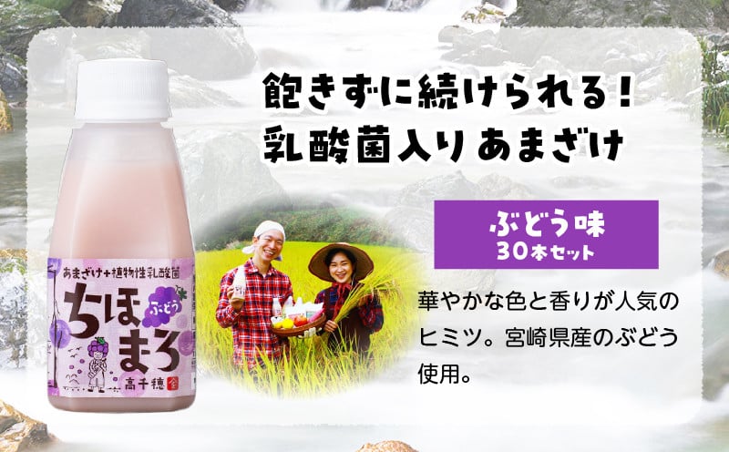 乳酸菌入りあまざけ ちほまろ 150g　30本セット【ぶどうのみ】 ふるさと納税 セット 飲み比べ 味比べ 詰め合わせ 無添加 砂糖不使用 日課 ノンアルコール 飲み物 ドリンク 飲料 お歳暮 贈り物 ギフト プレゼント 宮崎県 高千穂町 _Tk015-031-g30