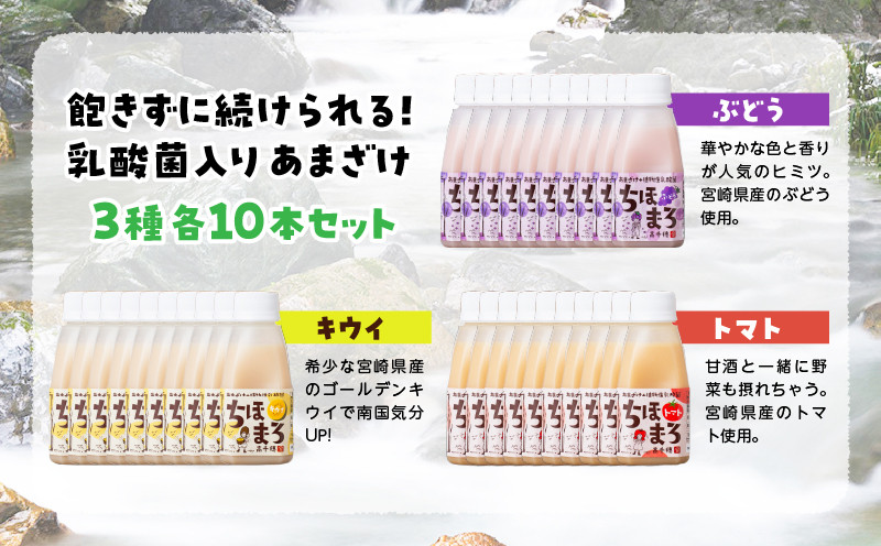 乳酸菌入りあまざけ ちほまろ 150g　30本セット【キウイ トマト ぶどう】 ふるさと納税 セット 飲み比べ 味比べ 詰め合わせ 無添加 砂糖不使用 日課 ノンアルコール 飲み物 ドリンク 飲料 お歳暮 贈り物 ギフト プレゼント 宮崎県 高千穂町 _Tk015-031-c30