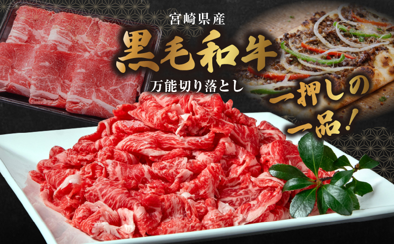 和牛おまかせ万能切落し700g 黒毛和牛 和牛 国産牛 牛肉 切り落とし 切落し 切り落し 霜降り 霜降り肉 赤身 混在 おまかせ肉 万能肉 家庭用 大容量 700g 小分け 350g 冷凍 有田牧場 エモ―牛 生産者直送 ブランド牛 受賞牛 品評会受賞 ワールドステーキチャレンジ 生産者部門 最優秀賞 宮崎県 高千穂町 ふるさと納税 返礼品_Tk055-001