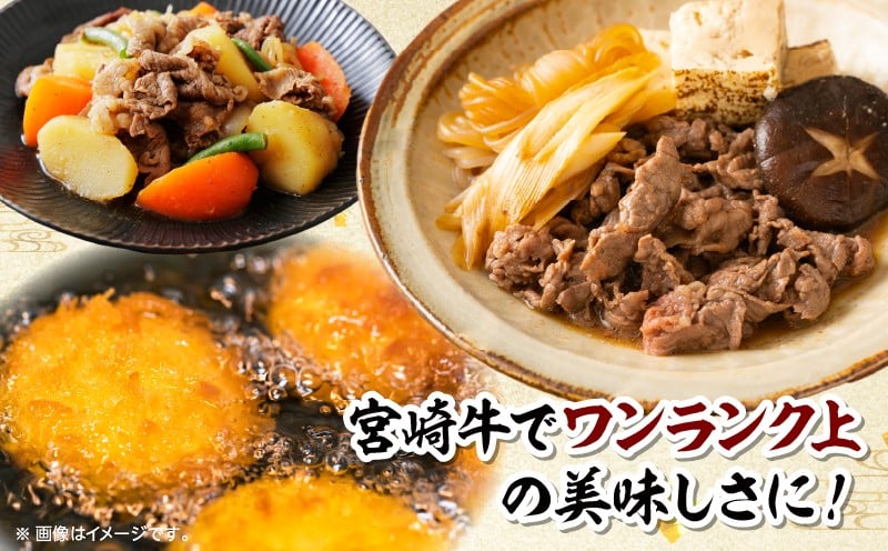 宮崎牛 こま肉・ミンチセット1kg_Tk024-019