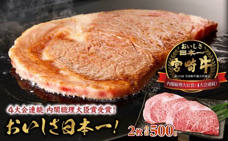 宮崎牛霜降り（ロース）ステーキ250g×2枚 計500g_Tk031-013
