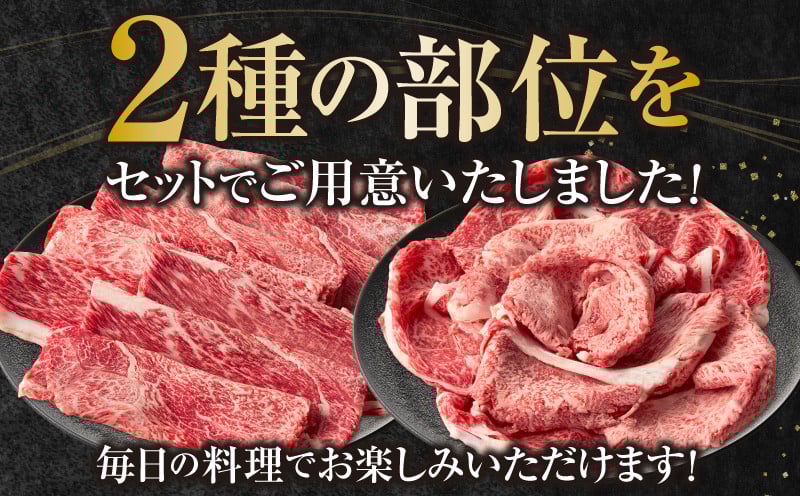 宮崎県産黒毛和牛赤身（ウデまたはモモ）・霜降り焼きしゃぶ1kg_Tk031-017-01