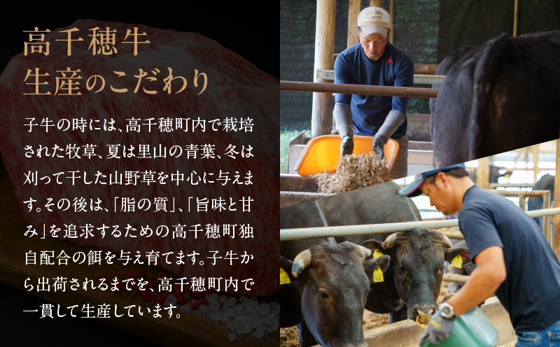 【3ヶ月定期便】 高千穂牛 すね肉 400g×2パック×3回 和牛_Tk002-t076