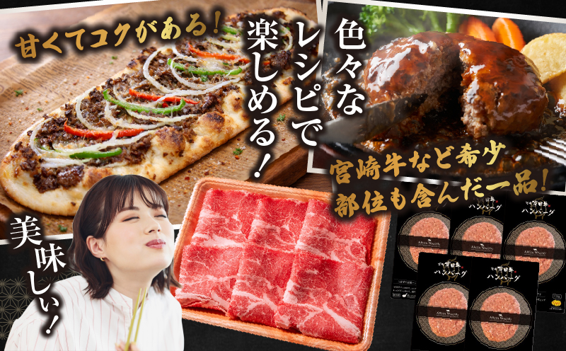 宮崎牛入有田ハンバーグ150g×5個と万能切落し500g 宮崎牛 和牛 黒毛和牛 国産牛 牛肉 ハンバーグ 牛100％ ハンバーグステーキ 切り落とし 切落し 万能切落し 霜降り 赤身 混在 有田牧畜 エモ―牛 ハンバーグセット セット商品 詰め合わせ 家族向け 家庭用 夕食 冷凍 小分け 500g 150g 食べ比べ 人気 TV紹介 ふるさと納税 返礼品 宮崎県 高千穂町_Tk055-002