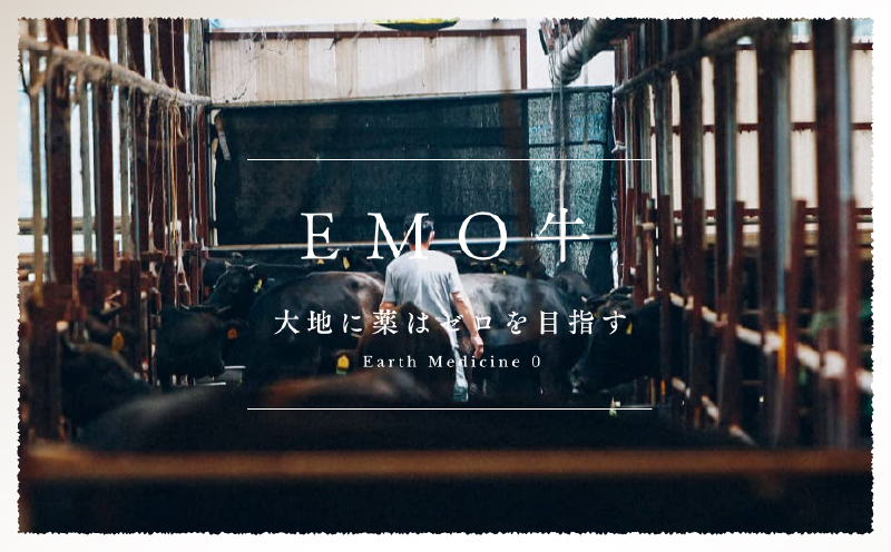 和牛おまかせ万能切落し700g 黒毛和牛 和牛 国産牛 牛肉 切り落とし 切落し 切り落し 霜降り 霜降り肉 赤身 混在 おまかせ肉 万能肉 家庭用 大容量 700g 小分け 350g 冷凍 有田牧場 エモ―牛 生産者直送 ブランド牛 受賞牛 品評会受賞 ワールドステーキチャレンジ 生産者部門 最優秀賞 宮崎県 高千穂町 ふるさと納税 返礼品_Tk055-001