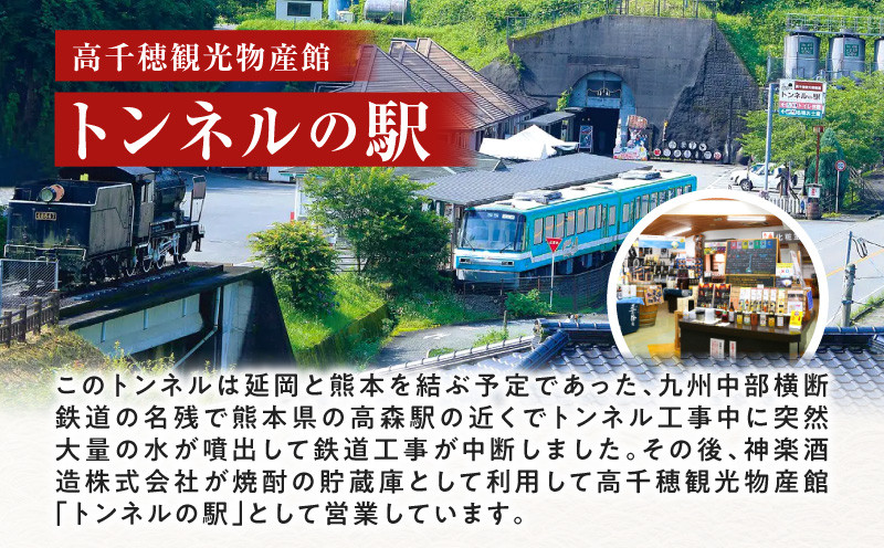 手造り梅酒 14% 720ml×2本セット ふるさと納税 梅酒 酒 アルコール 梅酒セット セット 詰め合わせ ロック ストレート 贈答 贈答用 ギフト プレゼント お祝い 祝い 内祝い 記念日 誕生日 お取り寄せ グルメ 家飲み 宅飲み 飲み会 国産 宮崎県 高千穂町 _Tk007-028
