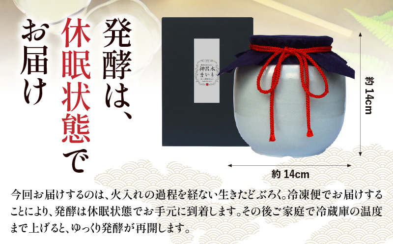 【中辛（神呂木まいり　度数：12度）】 御神水源どぶろく 900ml×1本 生酒 火入れなし自宅で 熟成発酵できる オリジナルの味が楽しめる 生 どぶろく ふるさと納税 どぶろく お酒 酒 アルコール 晩酌 化粧箱 化粧箱入り 箱入り 贈答 贈り物 ギフト プレゼント 宮崎県 高千穂町 _Tk015-012-chu