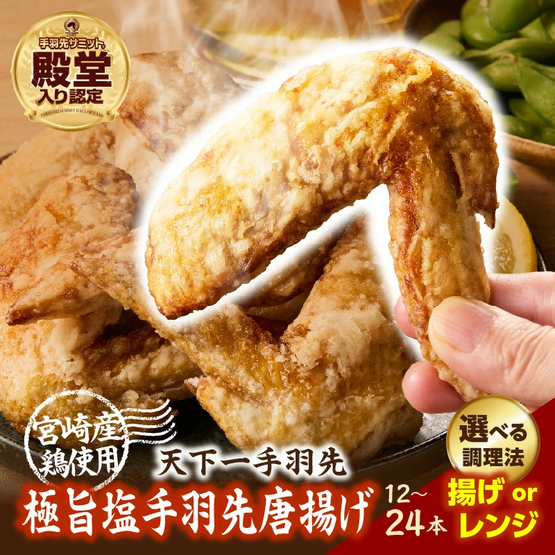 【選べる種類】【手羽先サミット殿堂入り！】極旨塩生手羽 or 極旨塩手羽先（調理済み) 24本 手羽先唐揚げ  DAS022-u