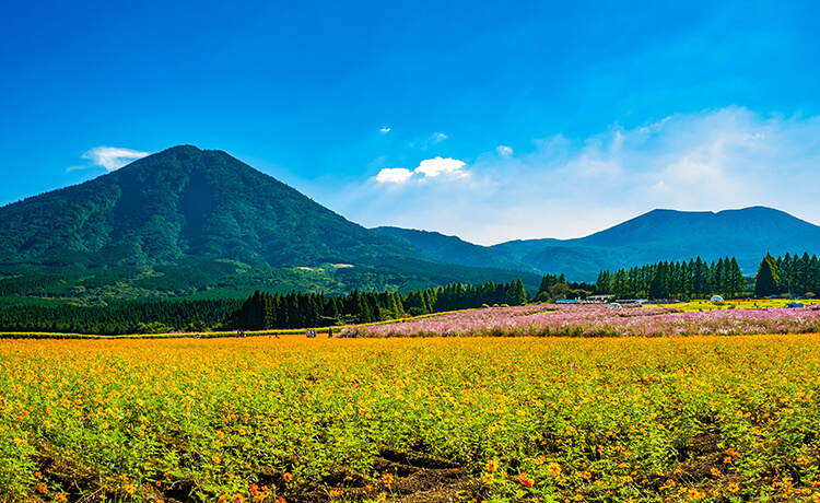 宮崎県 小林市