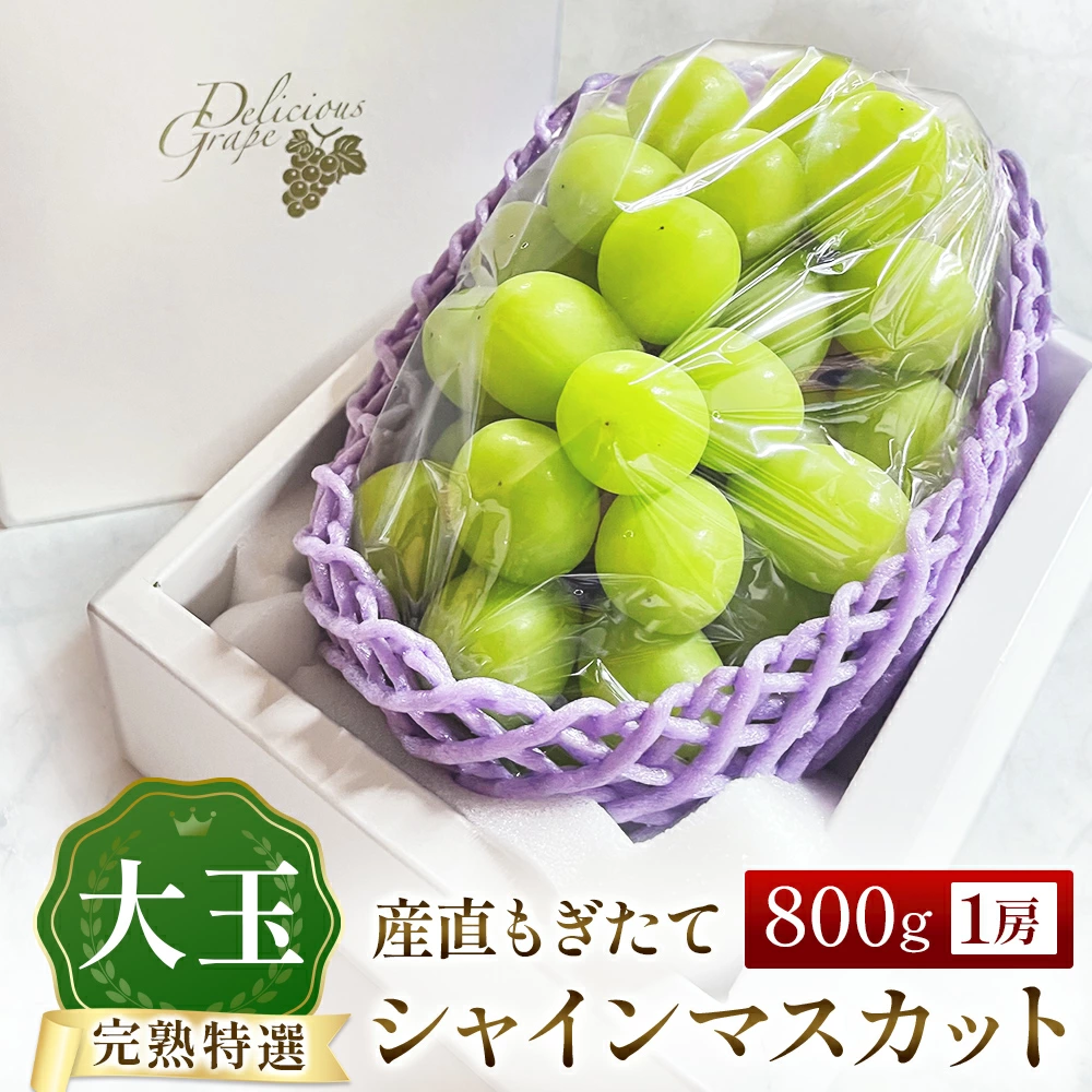 【令和8年発送・先行予約】大玉 特選 シャインマスカット 800g（ぶどう ブドウ シャインマスカット シャイン マスカット フルーツ 果物 くだもの 旬 先行受付 2026 産地直送 限定）