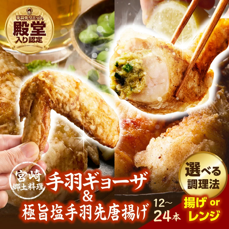 【選べる種類】【手羽先サミット殿堂入り!】 極旨塩生手羽先・手羽ギョーザor手羽先唐揚げ・手羽ギョーザ（調理済み）セット 計24本 DAS024-u