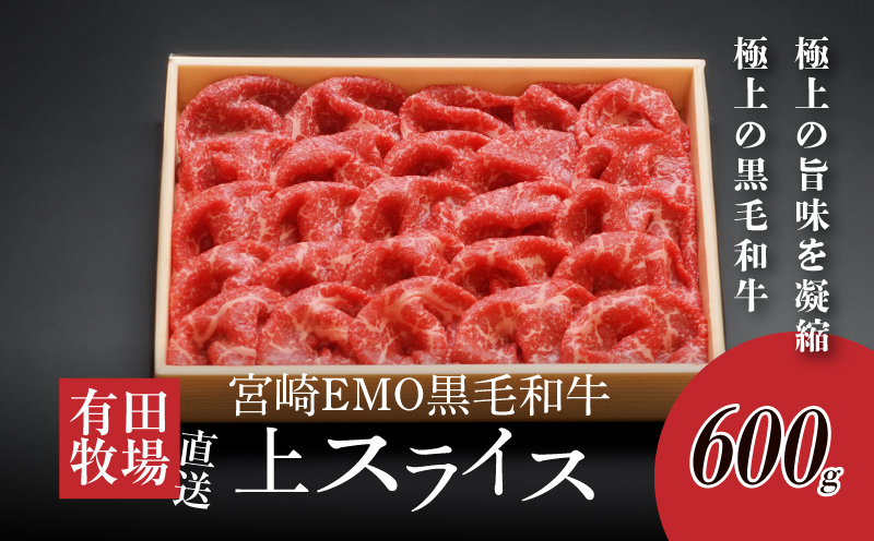 宮崎ＥＭＯ黒毛和牛 すき焼き用上スライス 600g K20_0013_3