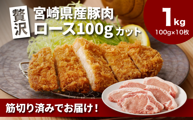 贅沢宮崎県産豚肉ロース100gカット10枚_K16_0149_1