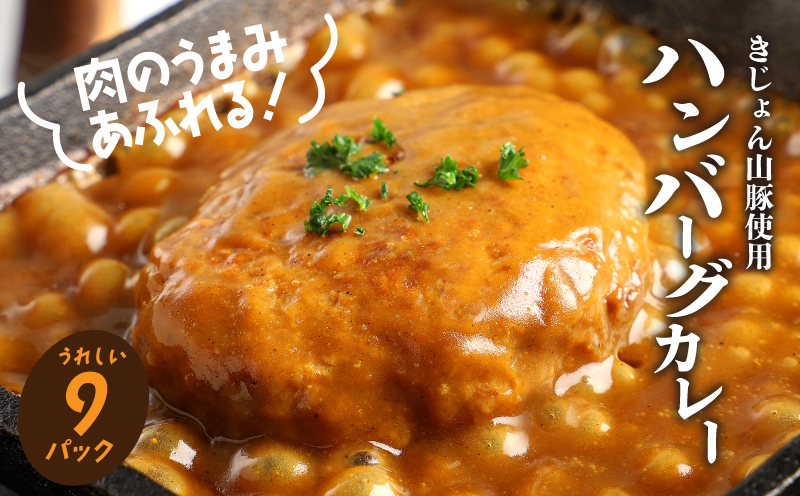 レトルトハンバーグカレー9パック_K16_0042_3