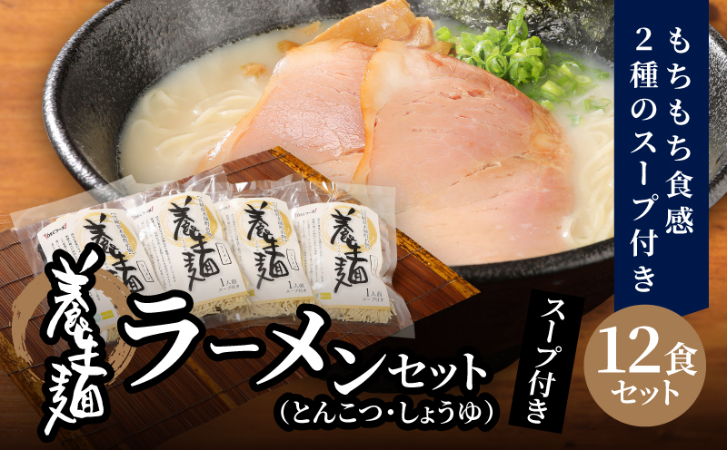 ＜養生麺ラーメン詰合せ 12袋入り＞ K10_0001_2