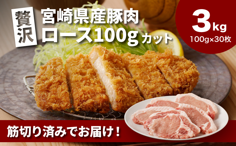贅沢宮崎県産豚肉ロース100gカット30枚_K16_0018_3