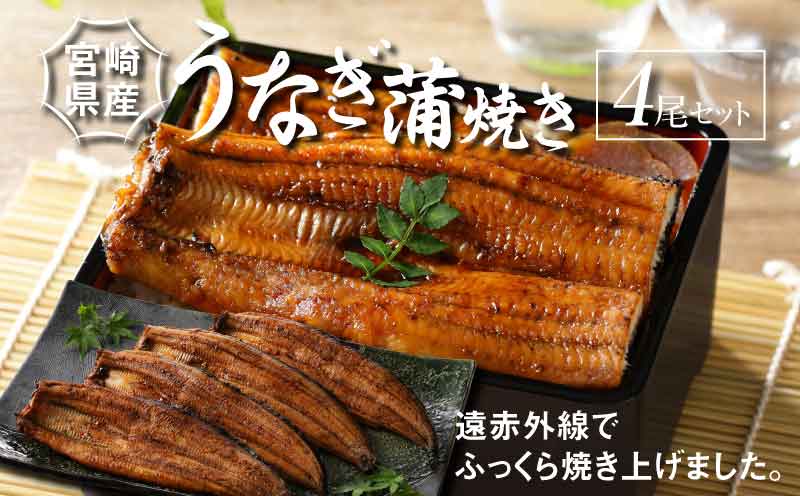 宮崎県産 うなぎ 蒲焼き 4尾セット	 K10_0015_2 