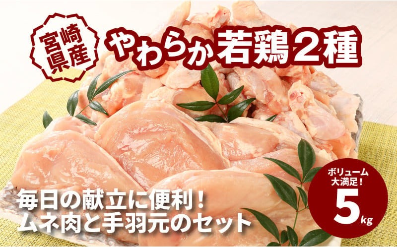宮崎県産鶏 やわらか若鶏2種5kg K16_0016_3