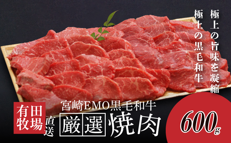 木城白木八重牧場育ちの黒毛和牛厳選焼肉 600g K20_0012_3
