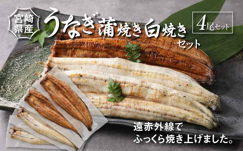 宮崎県産 うなぎ 白焼き 蒲焼き 4尾セット K10_0013_2 